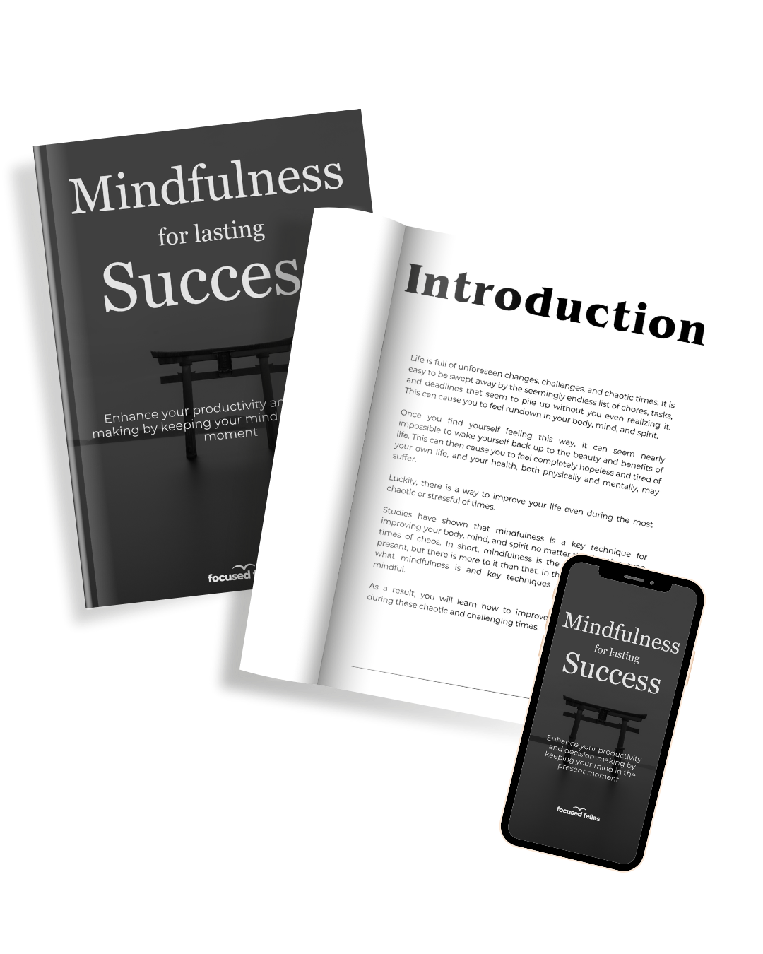 Mindfulness for lasting Success E-Book & Workbook