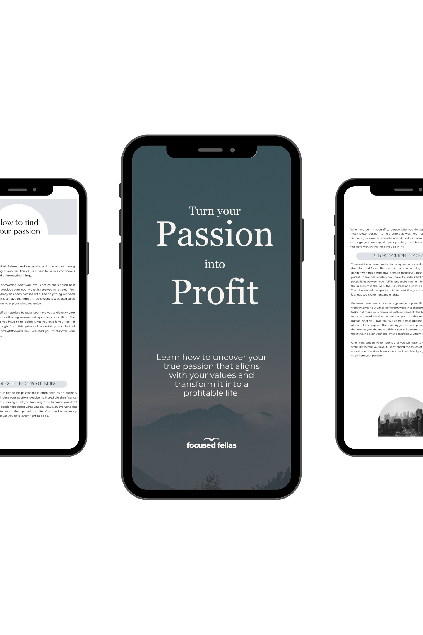 Turn your Passion into Profit E-Book & Workbook