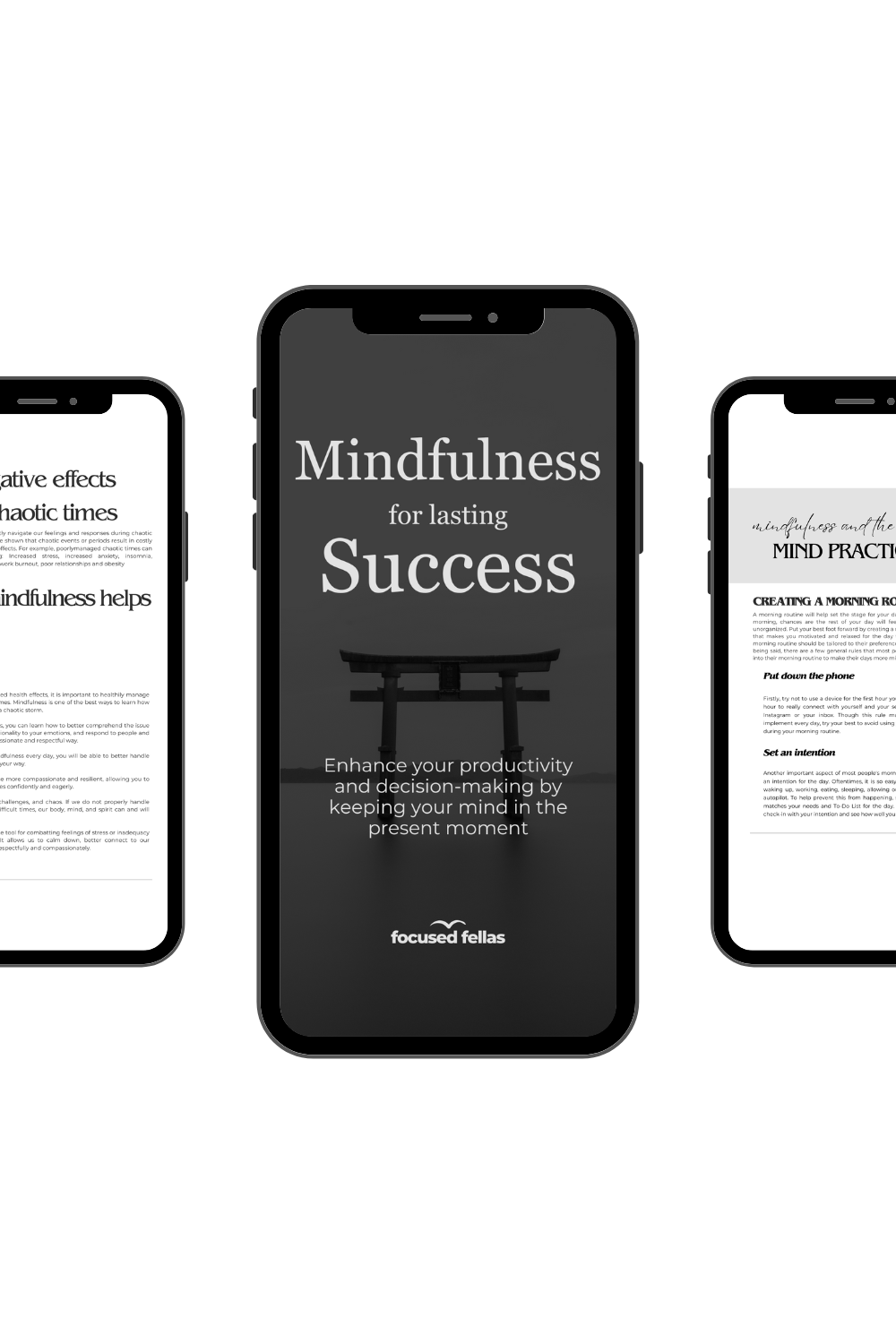 Mindfulness for lasting Success E-Book & Workbook
