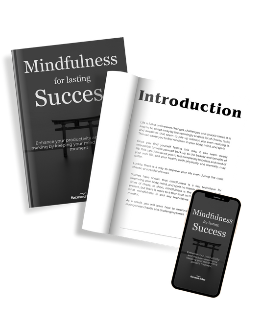 Mindfulness for lasting Success E-Book & Workbook
